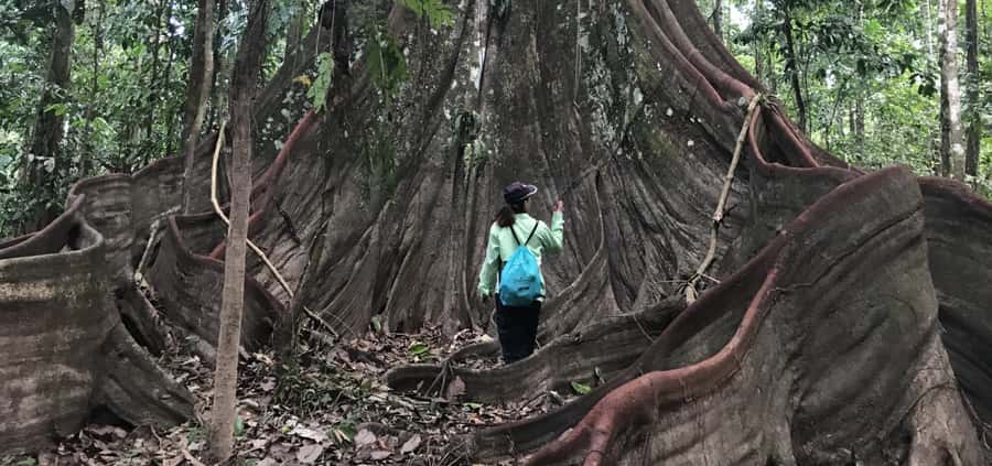 Leticia: Amazing Three Day Jungle Tours - Day one: public boat, Puerto Nariño, and monkeys