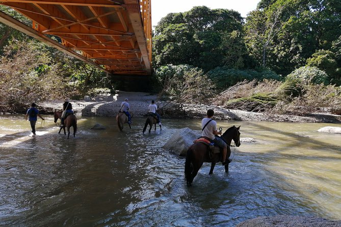Los Naranjos Beach Horseback Riding Tayrona Park. - A forest ride with the sea waiting ahead