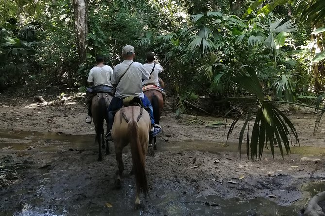 Los Naranjos Beach Horseback Riding Tayrona Park. - Reaching Los Naranjos Beach