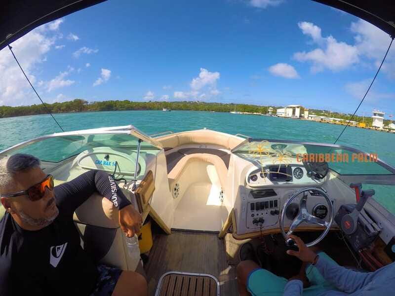 Luxury private tour boat 6 in 1 - Old Point Mangrove: a quieter change of pace