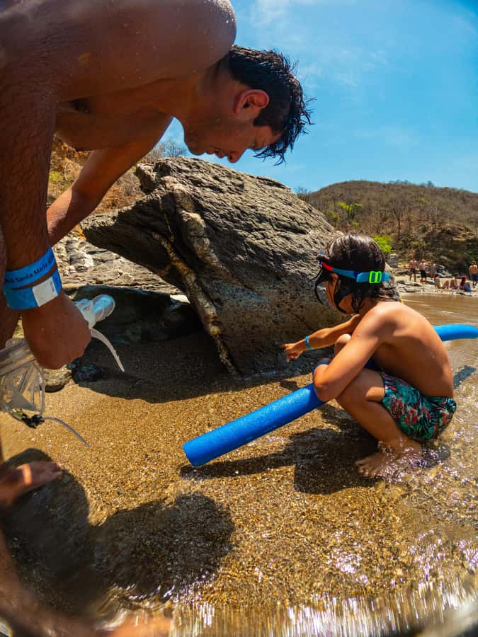 Magdalena: Tayrona Park Cruise with Snorkeling & Beaches - Key points to know before booking