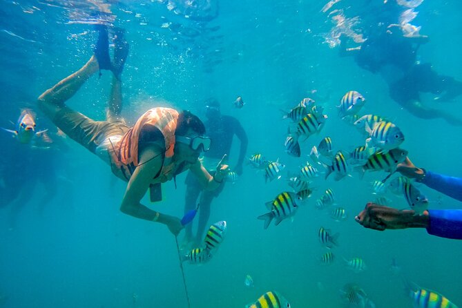 Magical Full-Day Tour Through The Mangroves And The Beach In Isla de Barú - What this Barú day is really like