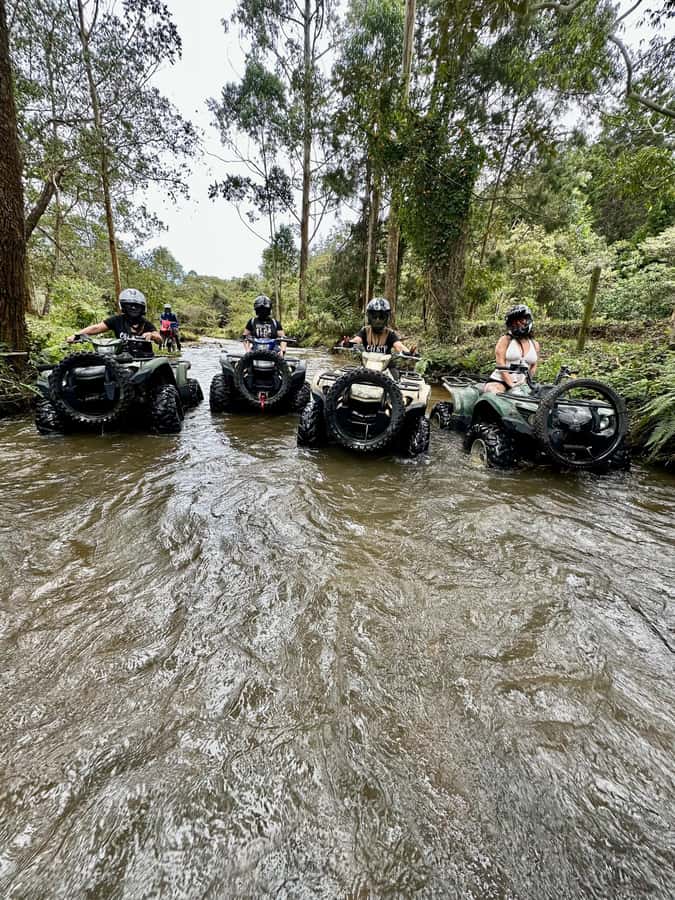 Medellin: ATV Tour 3 Mountains - Key points at a glance