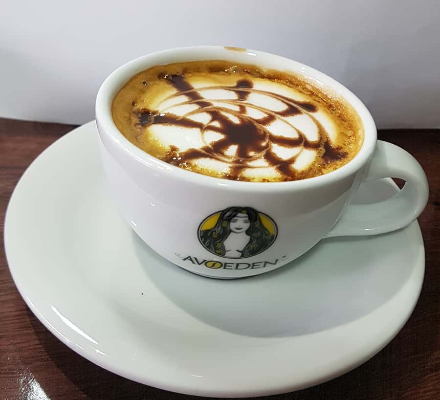 Medellin: Avoeden Café Coffee Brewing Workshop - Is $69 a Fair Price?