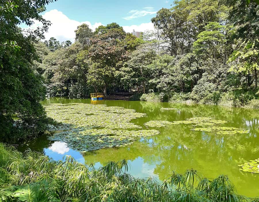 Medellín: Botanical Garden and Arvi Park City Tour - Should you book the Botanical Garden and Arví Park tour?