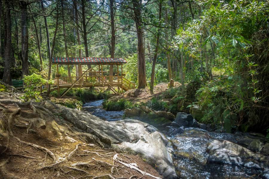 Medellín: Botanical Garden and Arvi Park City Tour - Why this tour makes sense in Medellín