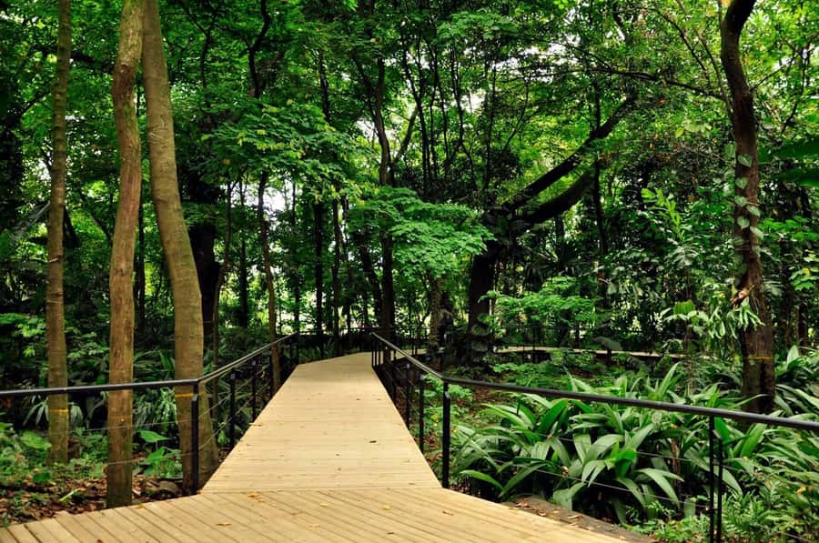 Medellín: Botanical Garden and Arvi Park City Tour - Two hours inside Medellín’s Botanical Garden
