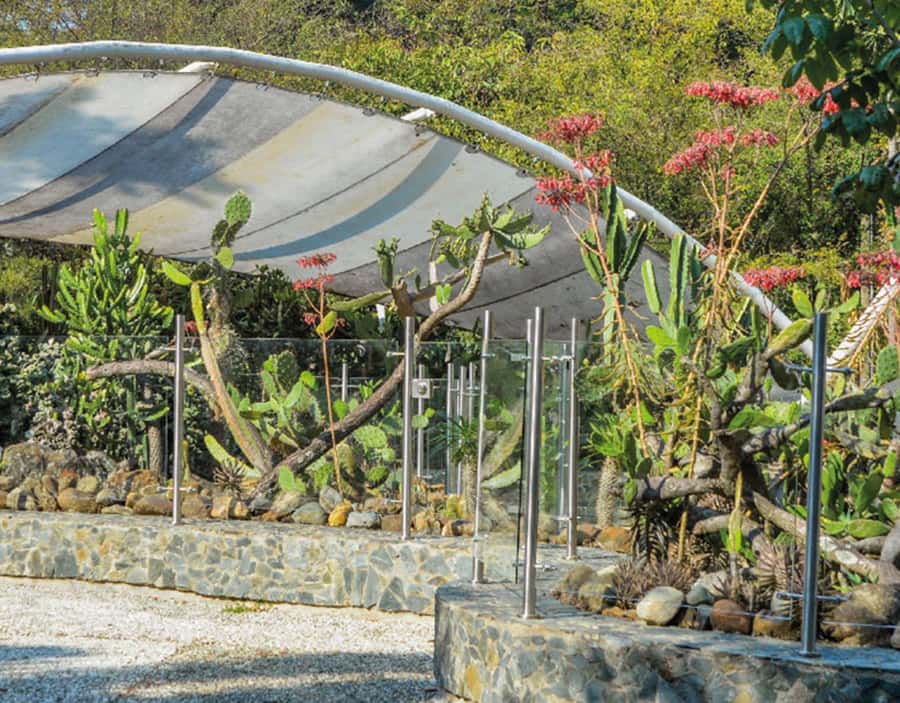 Medellín: Botanical Garden and Arvi Park City Tour - The Metrocable ride and the view from above