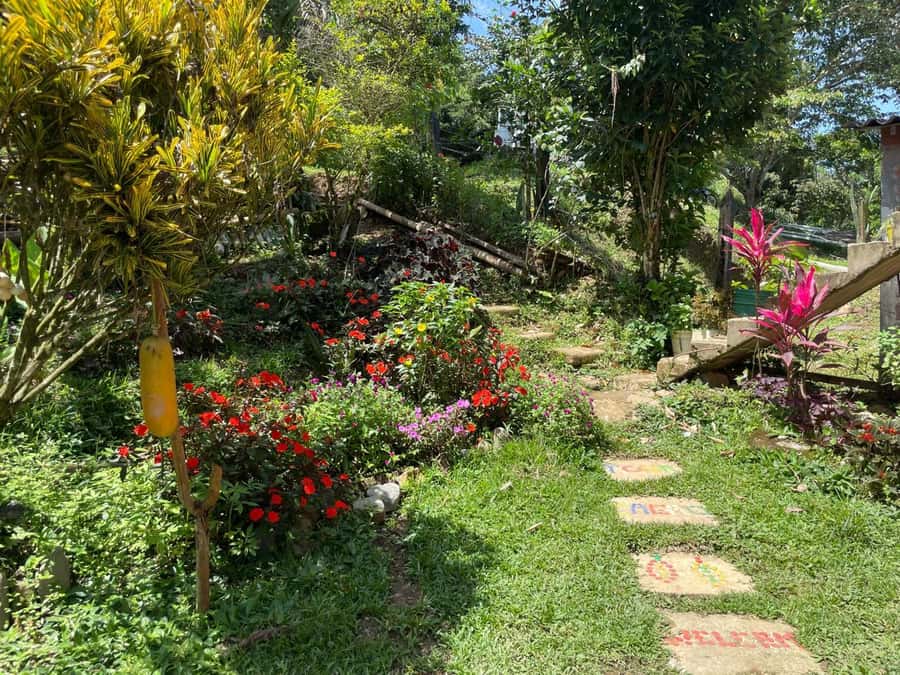 Medellín: Chocolate Tour & Exfoliation in beautiful river - Practical planning for the eight-hour outing