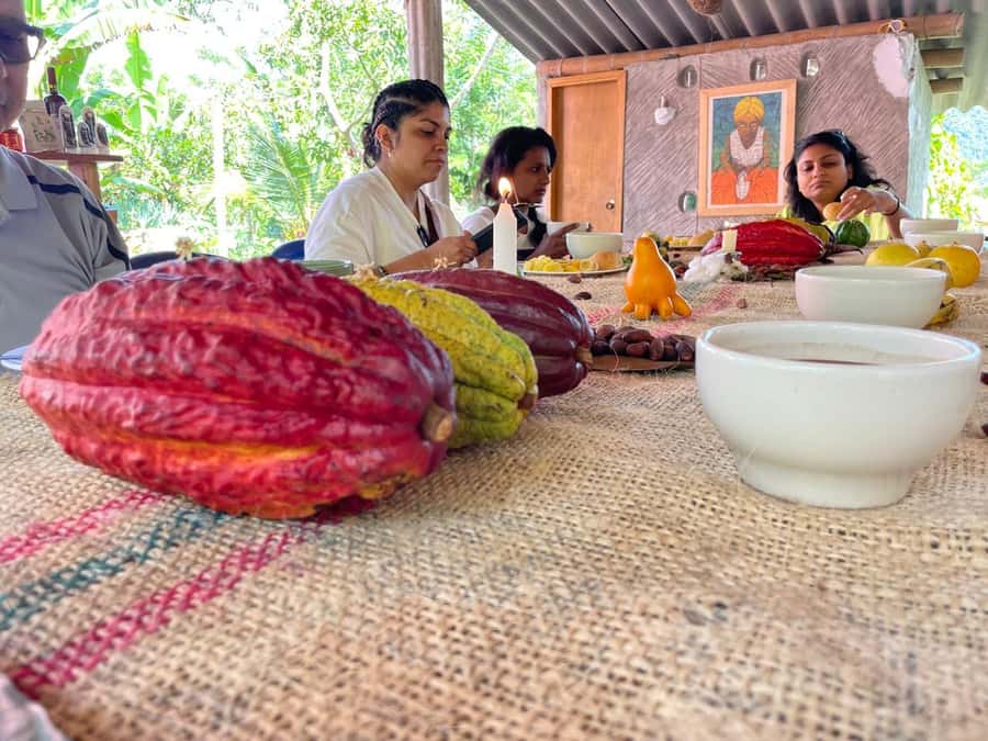 Medellín: Chocolate Tour & Exfoliation in beautiful river - Arriving at the family cacao farm