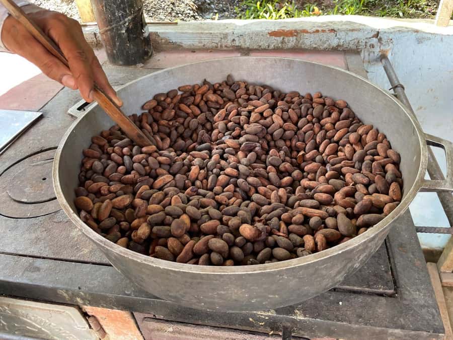 Medellín: Chocolate Tour & Exfoliation in beautiful river - The road east through Antioquia