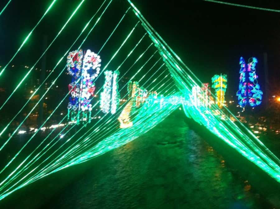 Medellin Christmas Lights Tour - Who will enjoy this private Christmas tour