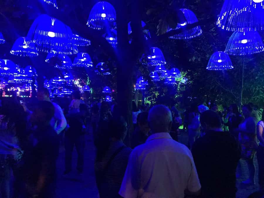 Medellin Christmas Lights Tour - Watching the light shows with Paisa families