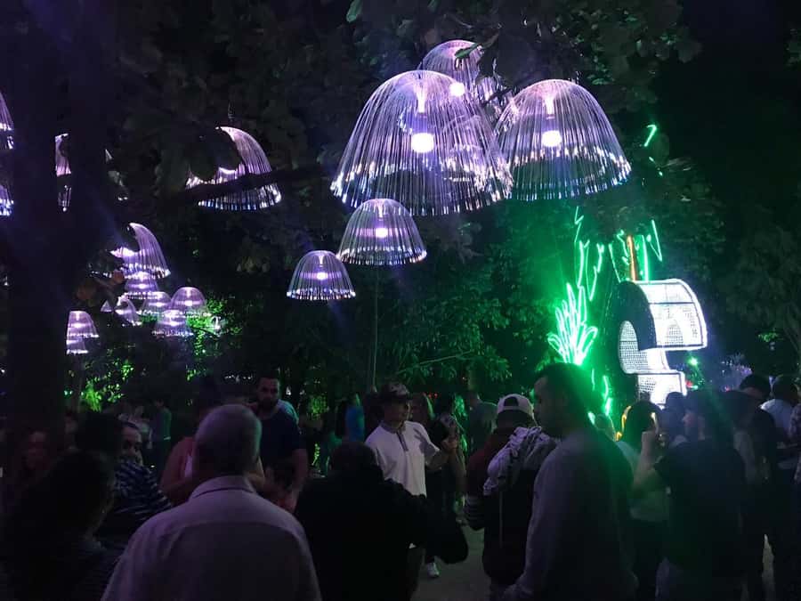 Medellin Christmas Lights Tour - Timing, traffic, and the best way to use your evening