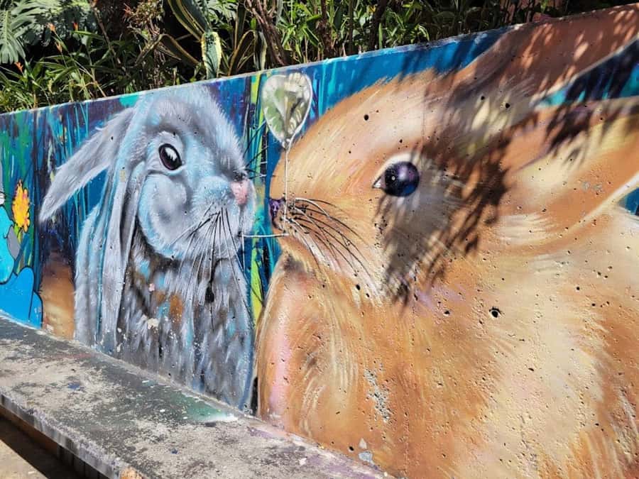 MEDELLIN: CITY TOUR MEDELLIN + GRAFFITOUR COMUNA 13 - Timing, language, and practical preparation