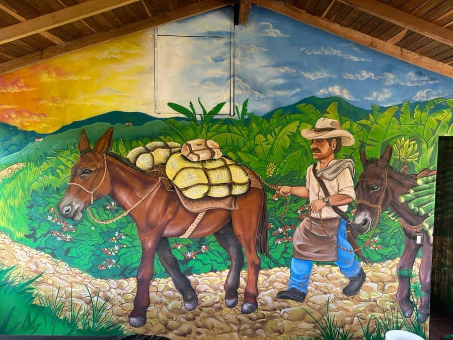 Medellin: Coffee and fruit tour - Practical details that can improve your day