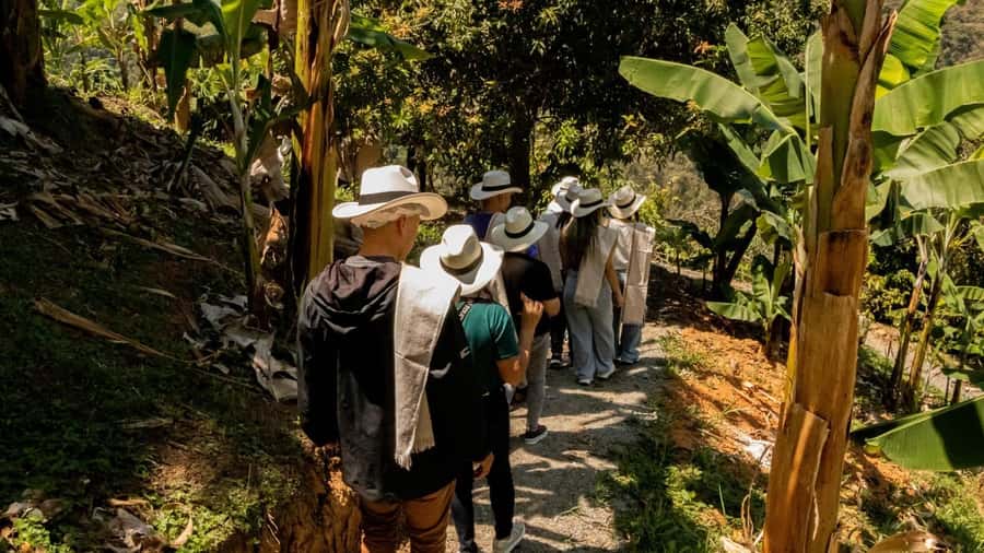 Medellin: Coffee and fruit tour - From Medellín to Ebéjico in about 45 minutes