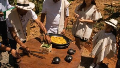 Coffee and fruit tour