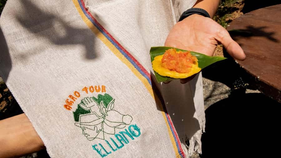 Medellin: Coffee and fruit tour - Coffee, fruit, and the sugar-cane reward