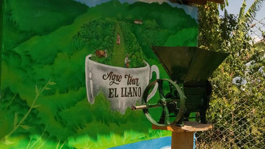 Medellin: Coffee and fruit tour - The guides are a large part of the experience