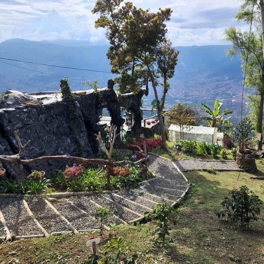 Medellin: Coffee Farm and Barista Workshop Experience - From Arví Station to Don Leandro Farm
