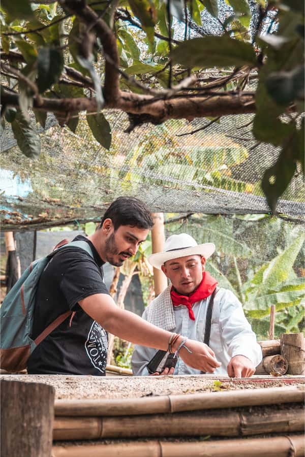 Medellin: Coffee Farm and Barista Workshop Experience - What the Farm Visit Adds