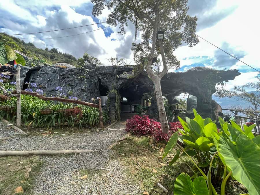 Medellin: Coffee Farm and Barista Workshop Experience - Who Will Enjoy This Experience Most?