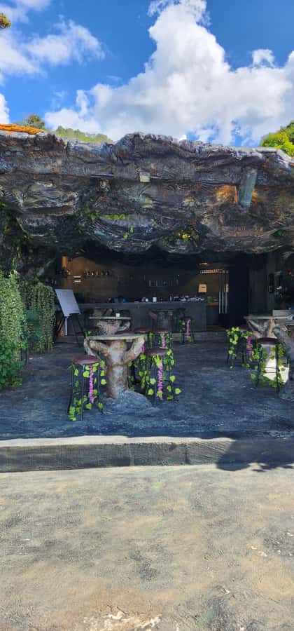 Medellin: Coffee Farm Tour & Spa with Overnight Glamping - What $1,705 per person really buys