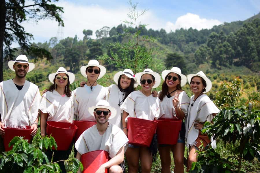 Medellín Coffee Farm Tour with Trolley and Cable Car Ride - Key points at a glance