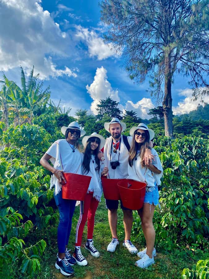 Medellín Coffee Farm Tour with Trolley and Cable Car Ride - Starting beneath San Antonio Metro Station