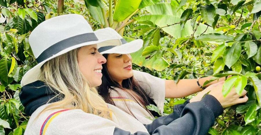 Medellín Coffee Farm Tour with Trolley and Cable Car Ride - Walking through Barrio La Sierra and Comuna 8