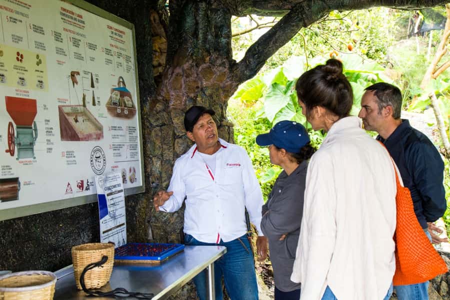 Medellin: Coffee Tour and Wellness Spa - The coffee oil massage and body scrub