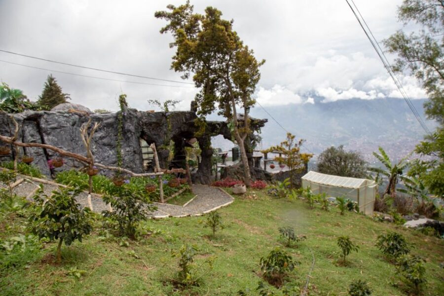 Medellin: Coffee Tour and Wellness Spa - The $88 price and what you receive
