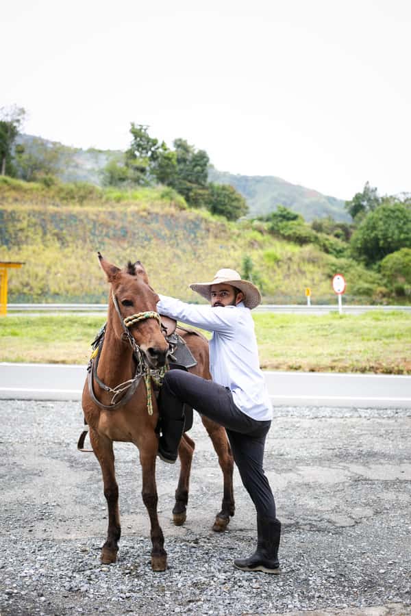 Medellin: Coffee Tour, Horseback Arrival, and Sugar Cane - Who will enjoy this experience most?