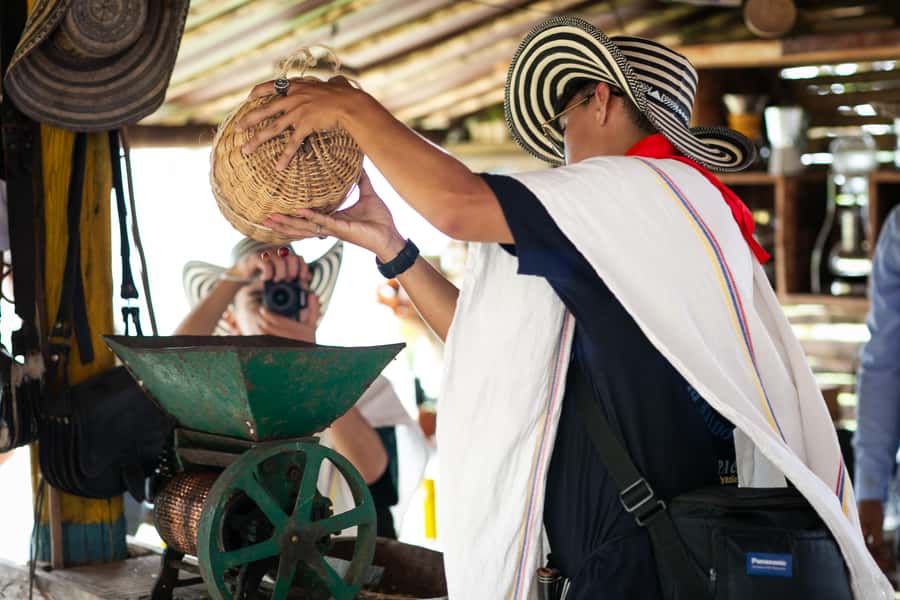 Medellin: Coffee Tour, Horseback Arrival, and Sugar Cane - Coffee fields and the work behind your morning cup