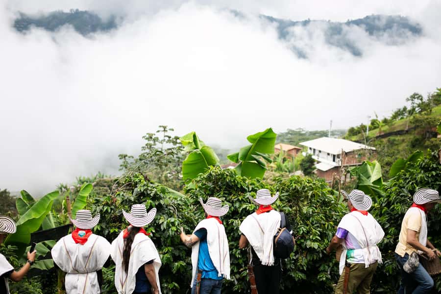 Medellin: Coffee Tour, Horseback Arrival, and Sugar Cane - A family welcome that shapes the visit