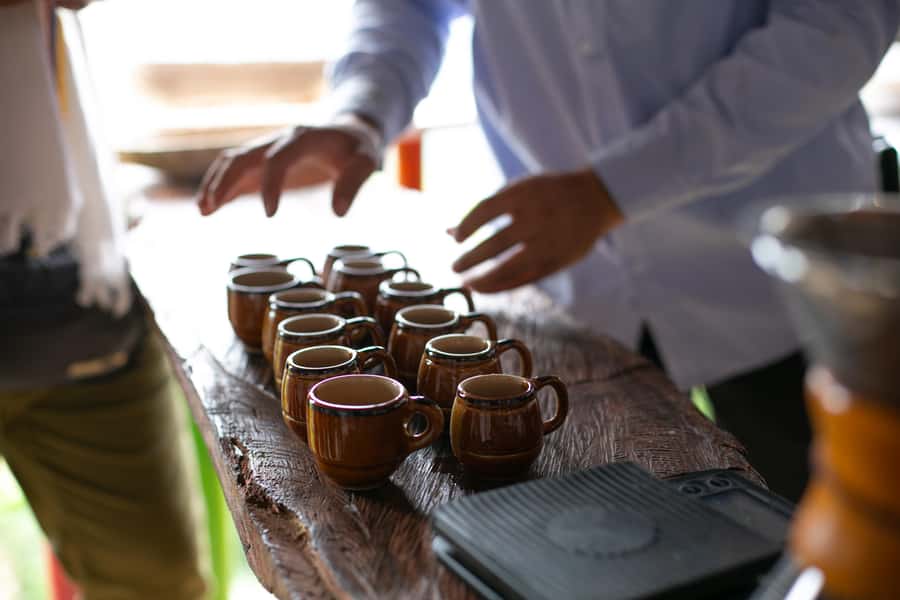 Medellin: Coffee Tour, Horseback Arrival, and Sugar Cane - The ten-minute ride to the farm entrance