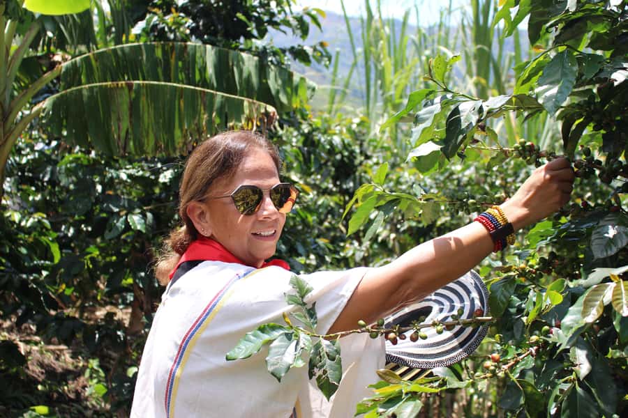 Medellin: Coffee Tour with Hotel Transfers and Meals - Key points to know before you go
