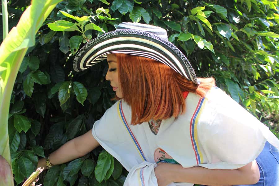 Medellin: Coffee Tour with Hotel Transfers and Meals - Who will enjoy this coffee farm visit most