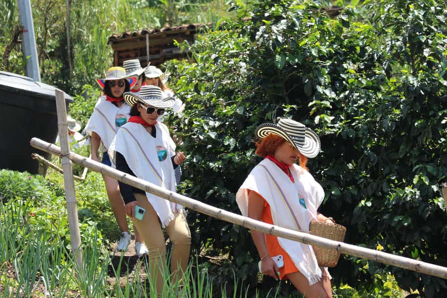 Medellin: Coffee Tour with Hotel Transfers and Meals - Leaving Medellín for San Sebastián de Palmitas