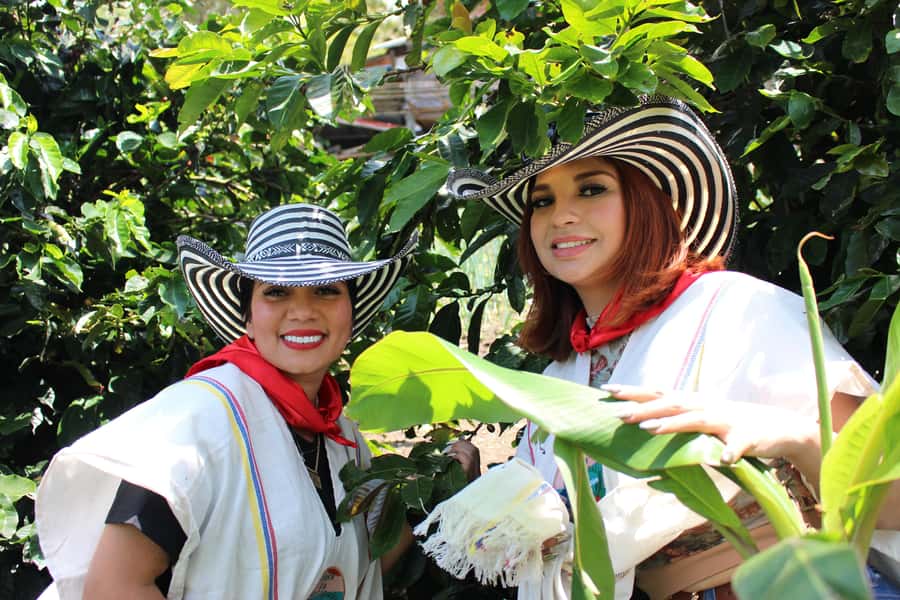Medellin: Coffee Tour with Hotel Transfers and Meals - Coffee picking and the work behind each bean