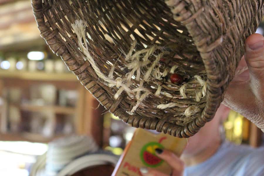 Medellin: Coffee Tour with Hotel Transfers and Meals - Horseback riding through the mountain viewpoints