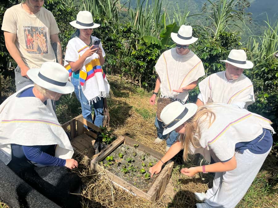 Medellin: Coffee Tour with Hotel Transfers and Meals - The uphill arrival at Finca La Arrinconada