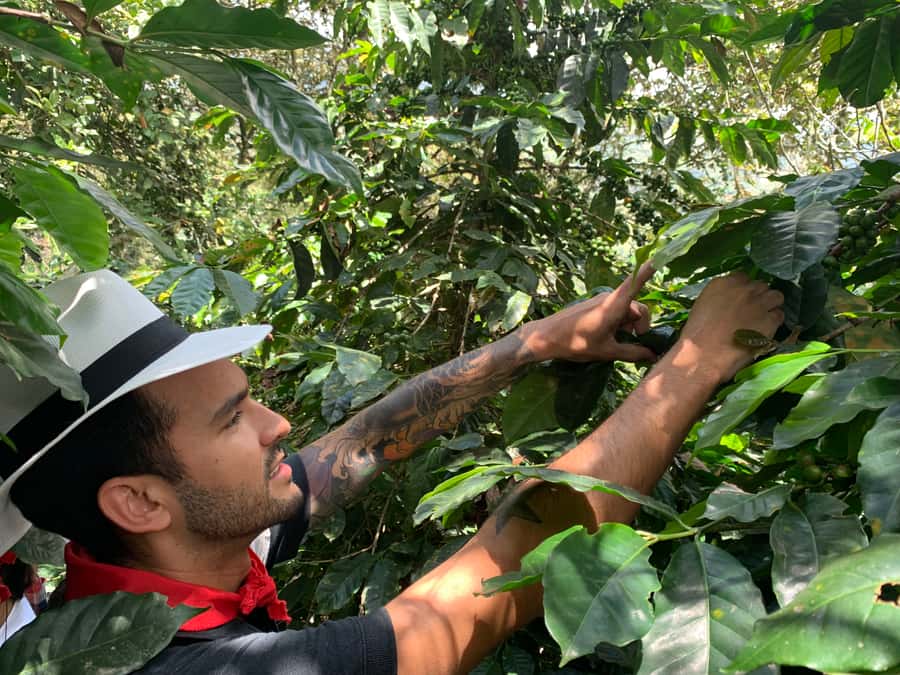 Medellin: Coffee Tour with Transport, Snacks and Tastings - Should you book D’Arrieros Coffee Farm?