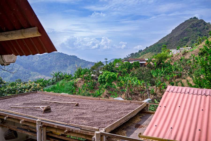 Medellin: Coffee Tour with Transport, Snacks and Tastings - Leaving Medellín for San Sebastián de Palmitas