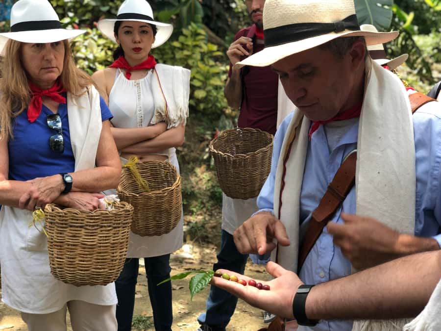 Medellin: Coffee Tour with Transport, Snacks and Tastings - Adding the 45-minute horseback ride