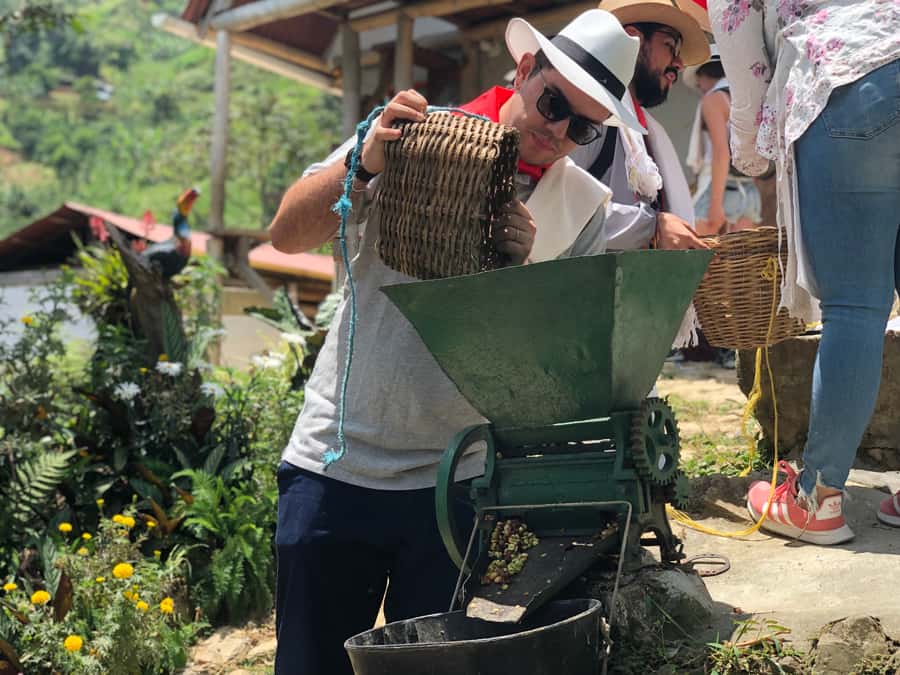 Medellin: Coffee Tour with Transport, Snacks and Tastings - Who should book this coffee day trip?