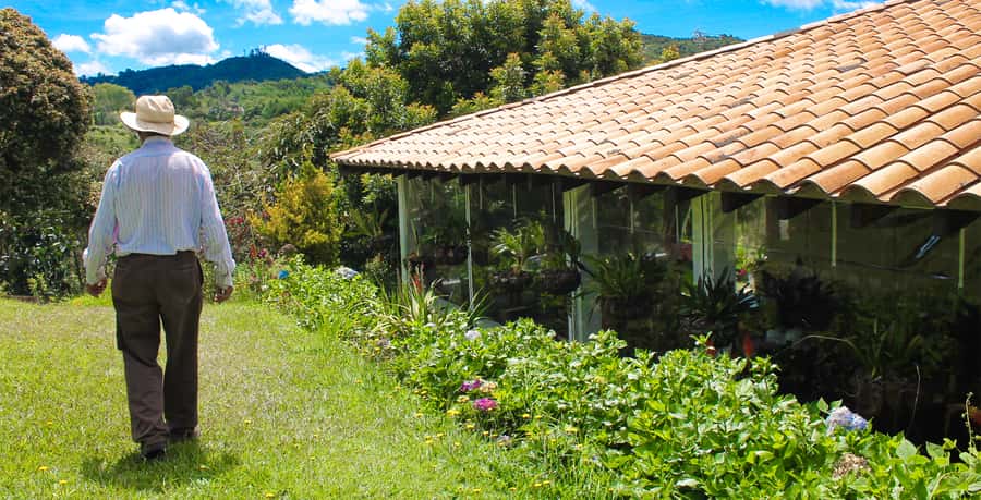 Medellín: Flower Farm & Silletero History Tour - How Flower Displays Become Festival Art