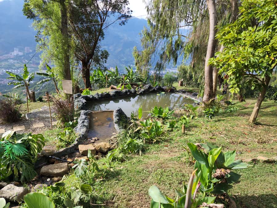 Medellin: Glamping Spa and coffee tour Experience - Key things to know before booking
