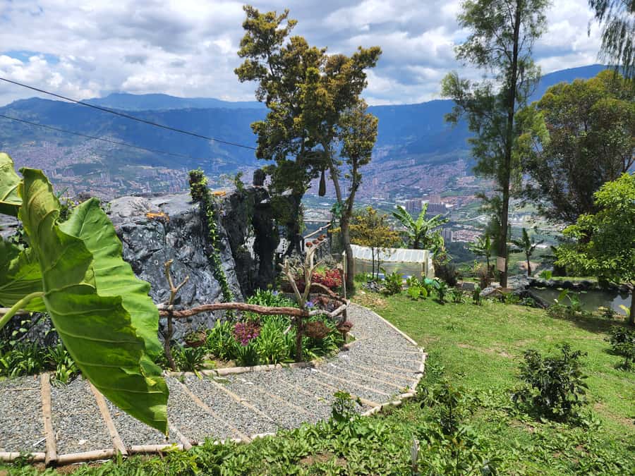 Medellin: Glamping Spa and coffee tour Experience - Walking through high-altitude coffee cultivation